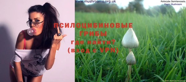 Альфа ПВП Верея