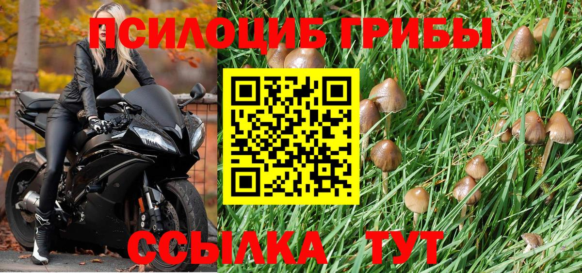Псилоцибиновые грибы мухоморы Георгиевск
