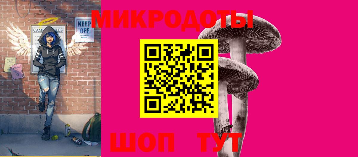 Галлюциногенные грибы Psilocybe  Вход с VPN  Георгиевск 